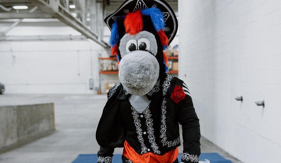 Image courtesy of Hooper the Mascot’s Instagram page